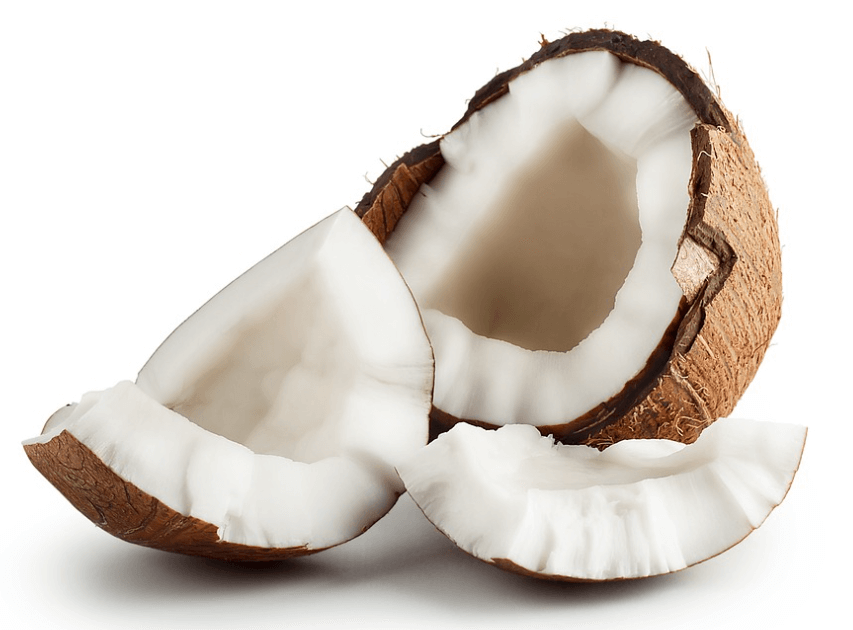 코코넛-사진