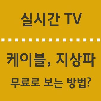 실시간 티비 엠넷