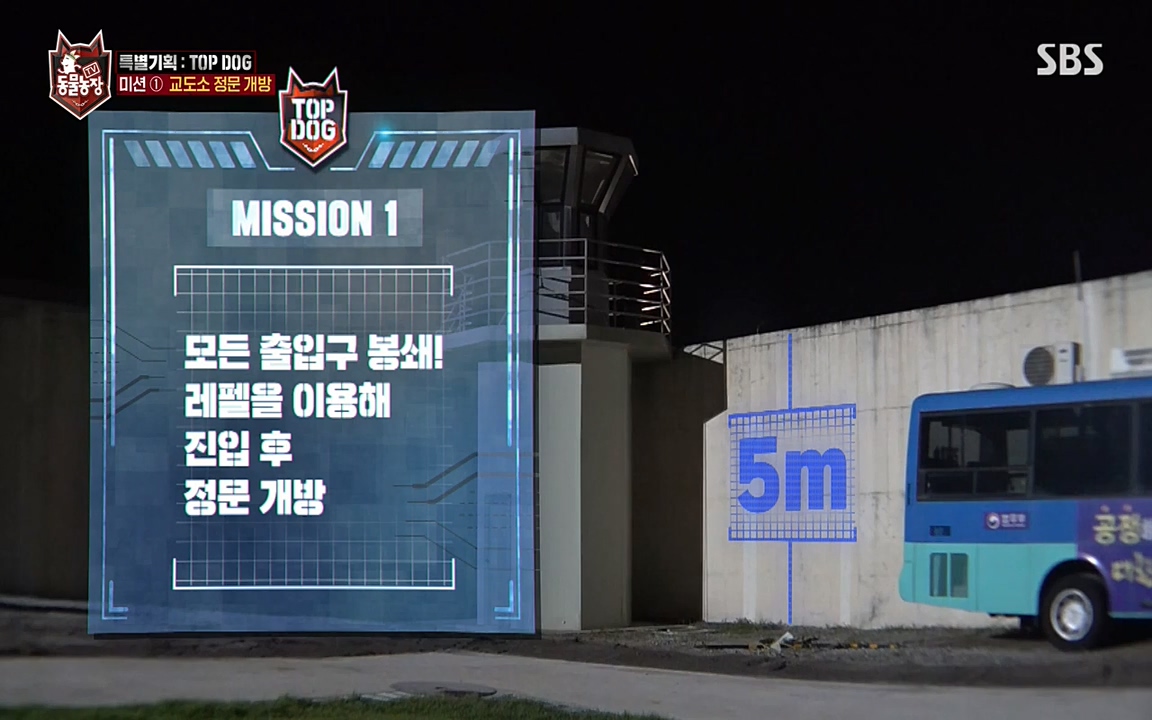 TV 동물농장.E1085.220905p-NEXT.mp4_20220904_172758.300.jpg