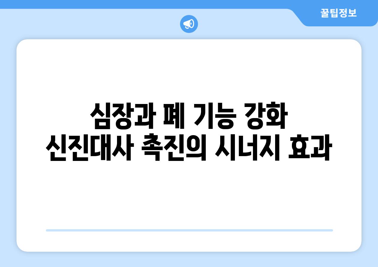 심장과 폐 기능 강화 신진대사 촉진의 시너지 효과