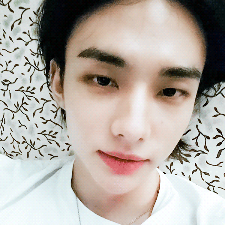 img.gif