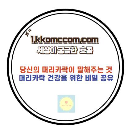 머리카락 관리 관련 포스팅 썸네일