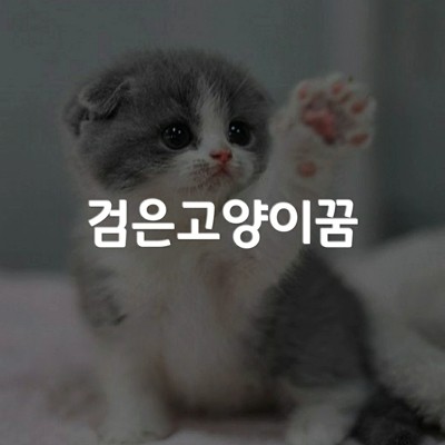 검은 고양이 꿈