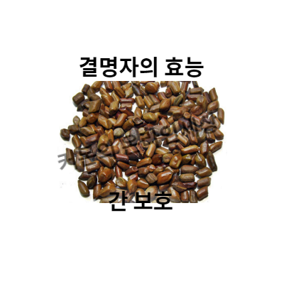 결명자의 효능