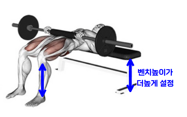 힙쓰러스트 세팅 방법1