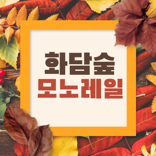 아로스 팝업