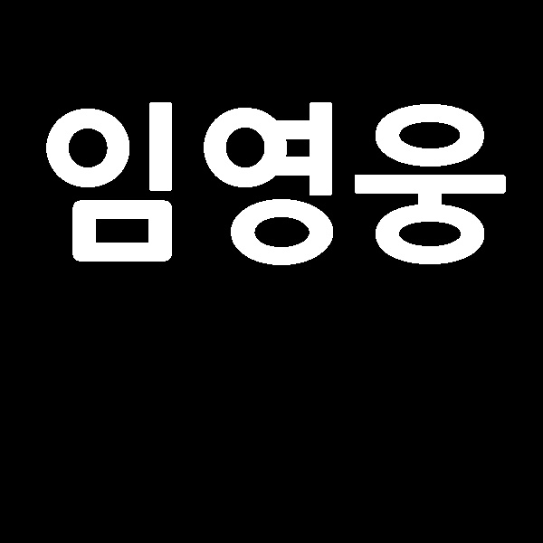  임영웅 내 마음 별과 같이