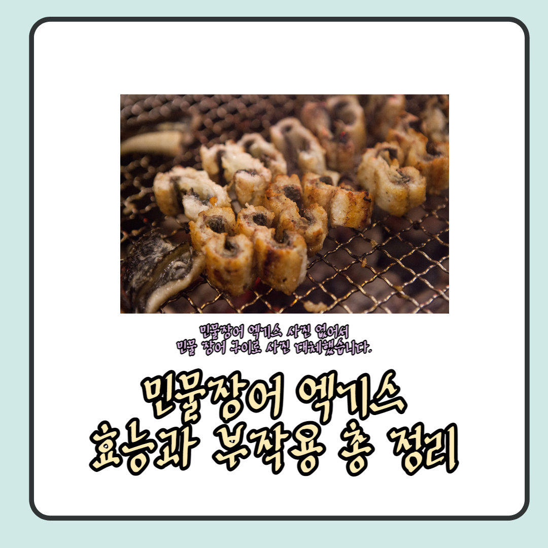  민물장어 엑기스 효능, 부작용, 섭취 시 주의사항 총 정리