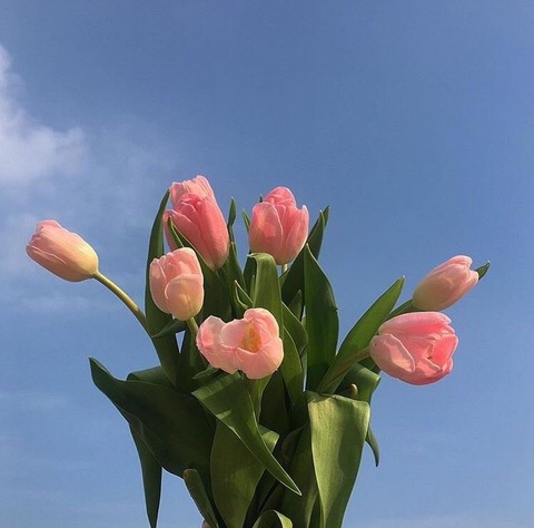  비전보드 23년 세팅 완료! 22년 목표 ing입니다.