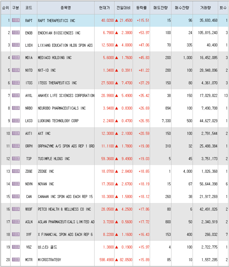  6월14일 미국주식 상승률 상위 종목 TOP 300