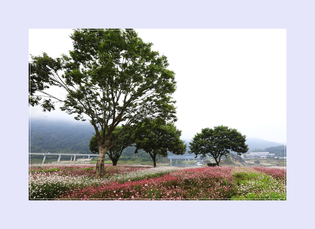 도담행복마을 이미지