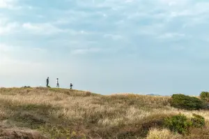 제주도 렌트카 비교사이트
