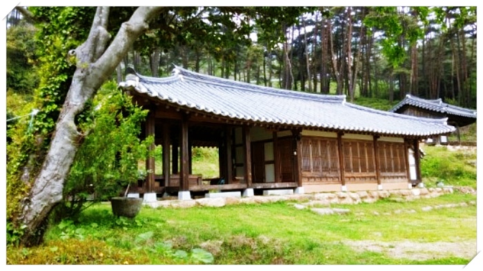  생방송 오늘저녁 녹차로 유명한 전남 보성 한옥 펜션에서 힐링 숙박 추천합니다
