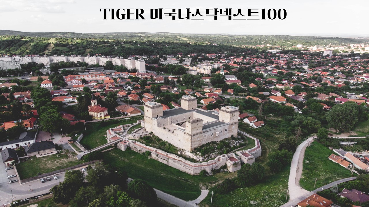  TIGER 미국나스닥넥스트100/429010