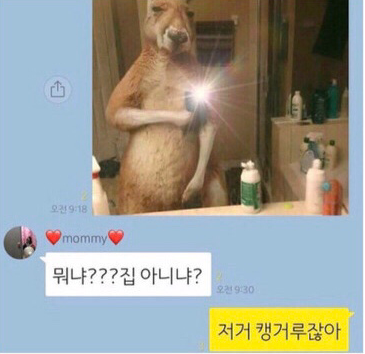  편견없는 엄마ㅋㅋㅋㅋㅋㅋ