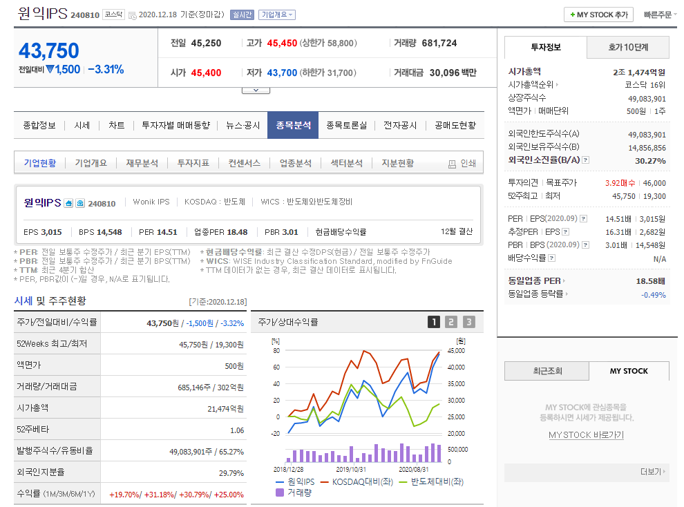  기업분석 - 원익IPS(240810) 반도체 관련주, 삼성전자 대주주