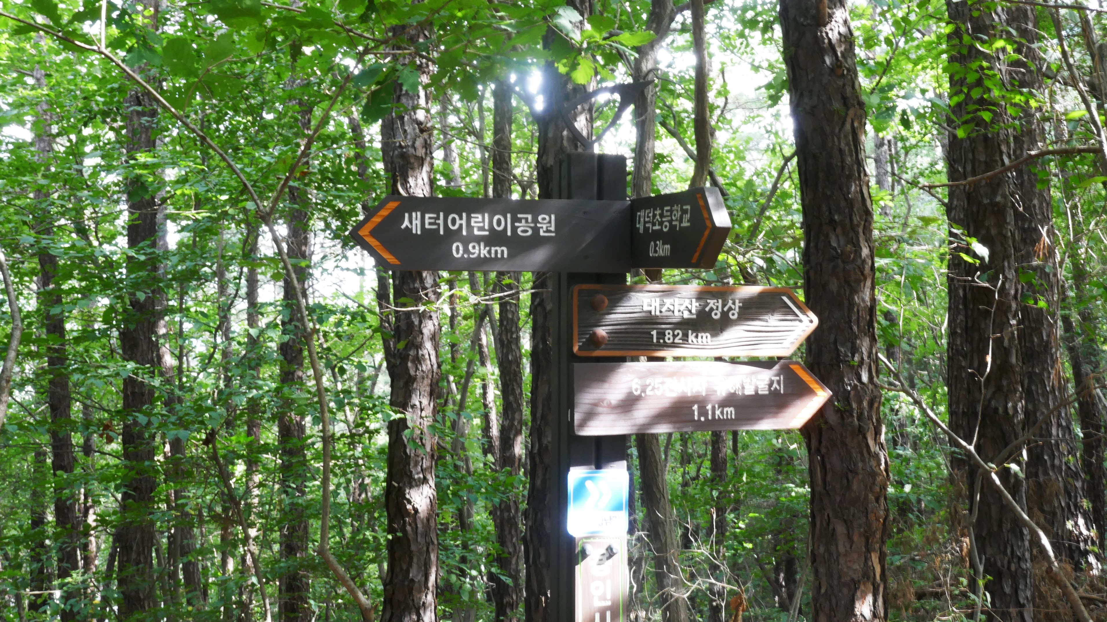 태재 이미지
