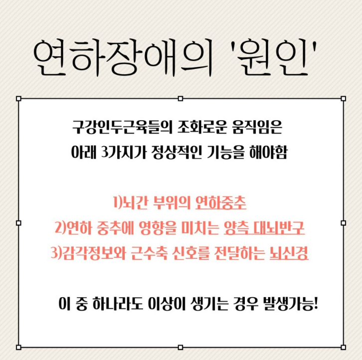 연하장애의 원인