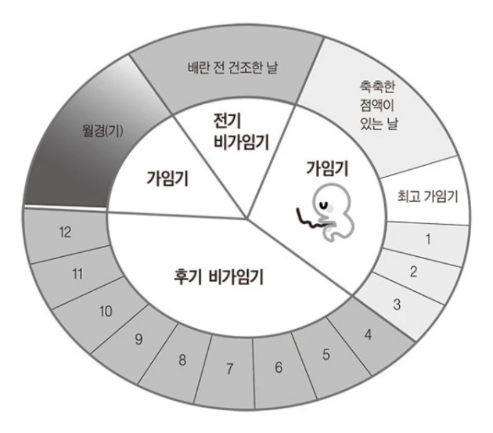자연주기법