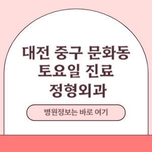 대전 중구 문화동 토요일 정형외과 진료 병원