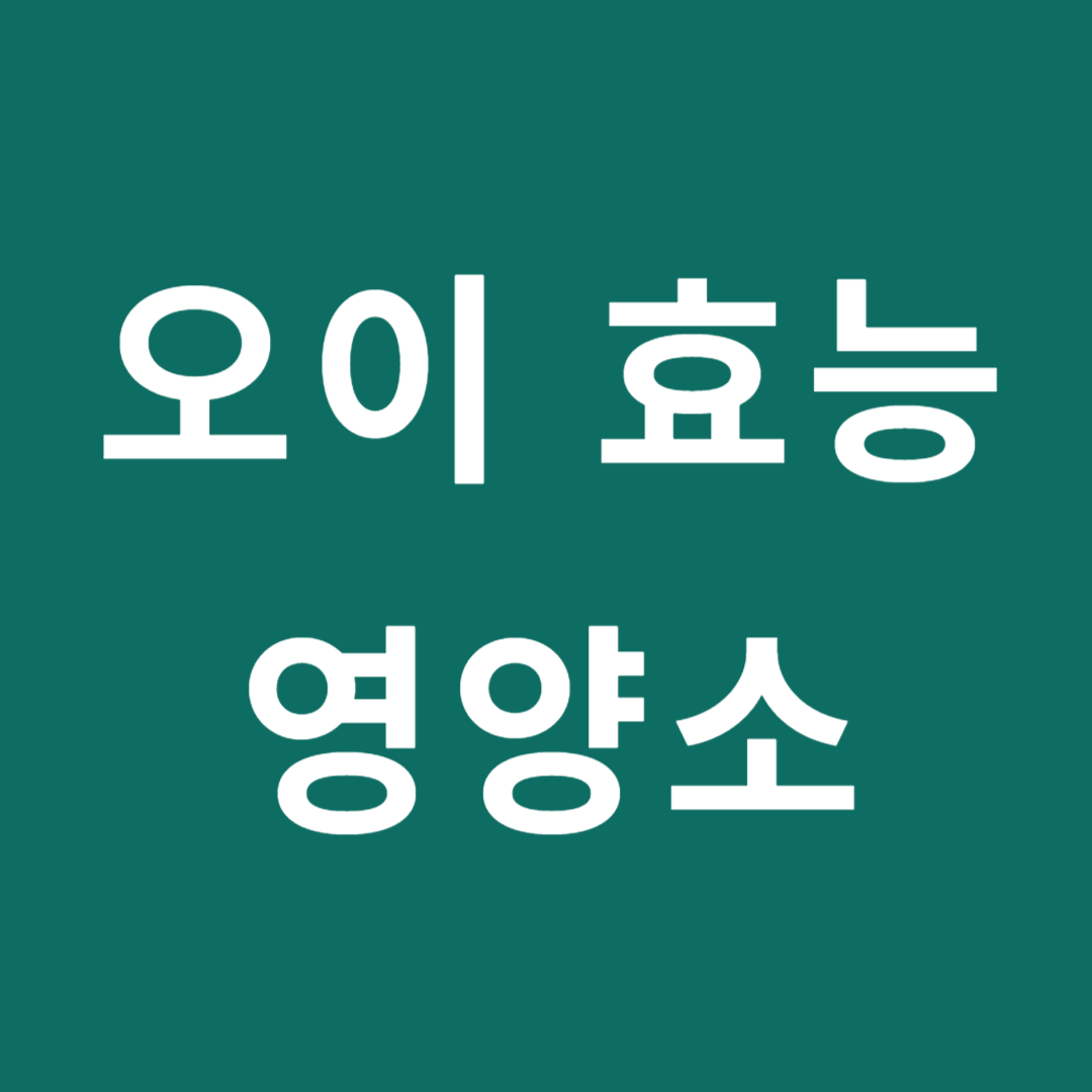 오이 효능 영양소