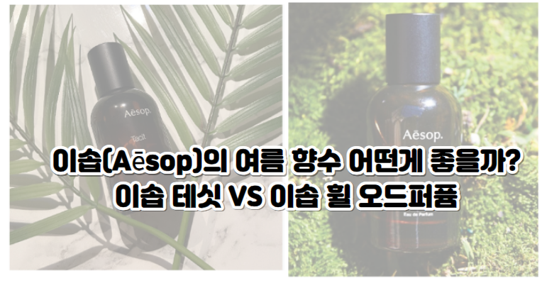 이솝(Aēsop)의 여름 향수 어떤게 좋을까? 이솝 테싯 VS 이솝 휠 오드퍼퓸