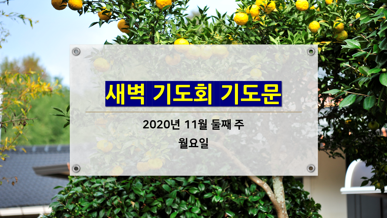  11월 새벽기도회 기도문
