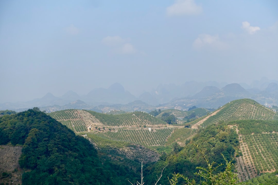 Danyang
