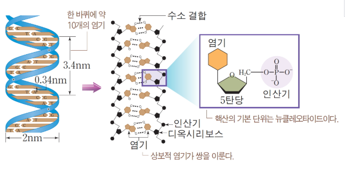 머니캔트 티스토리