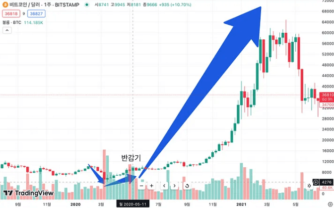 2020년 5월 그래프