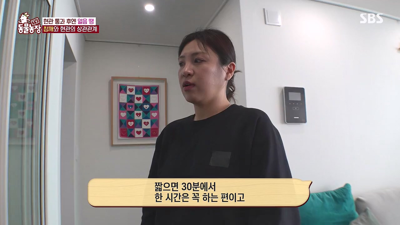 TV 동물농장.E1177.240624p-NEXT.mp4_20240623_163756.514.jpg