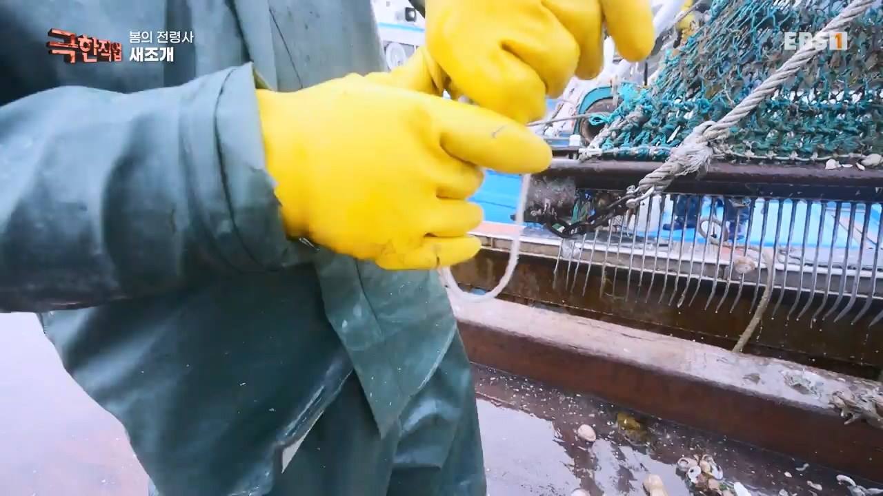 TV - 전 국민의 평생학교 EBS봄의 전령사! 새조개, 미나리, 주꾸미.mp4_20240316_171247.060.jpg