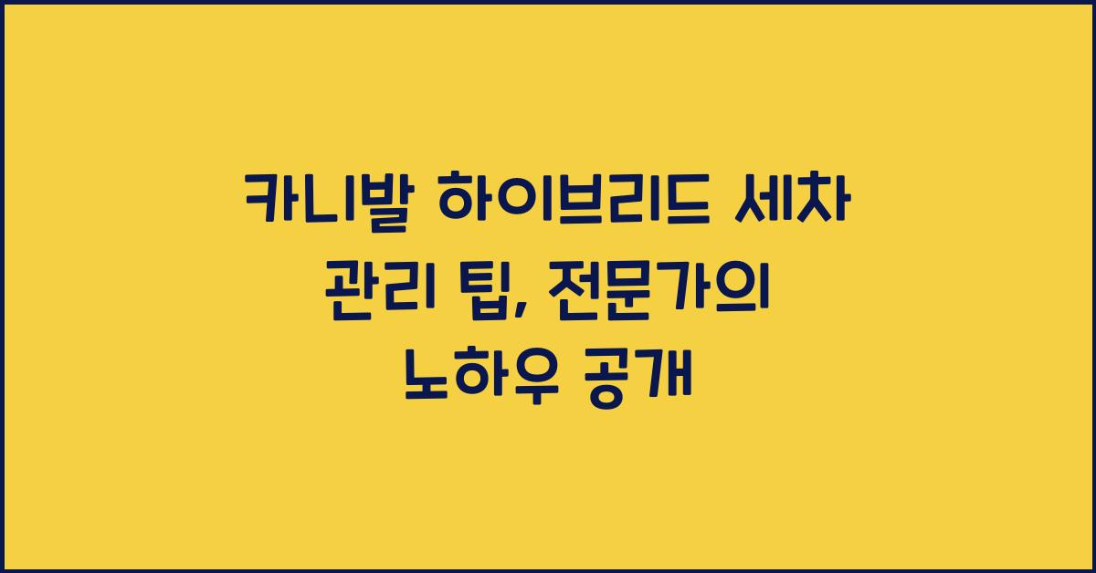 카니발 하이브리드 세차 관리 팁