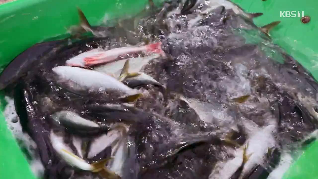 동네 한 바퀴.E239.230910p-NEXT.mp4_20230916_161915.435.jpg