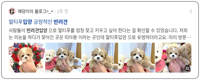 반려견 입양_3_subsection