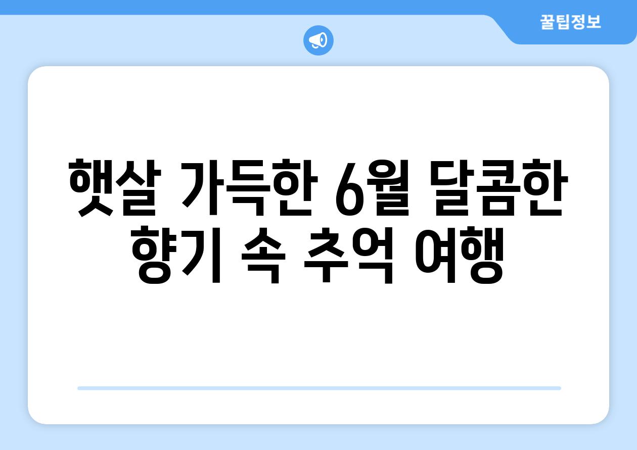 햇살 가득한 6월 달콤한 향기 속 추억 여행