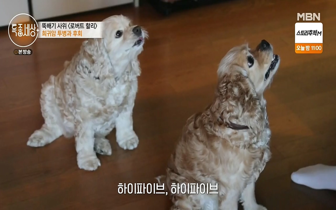 현장르포 특종세상.E531.220520p-NEXT.mp4_20220521_182407.435.jpg