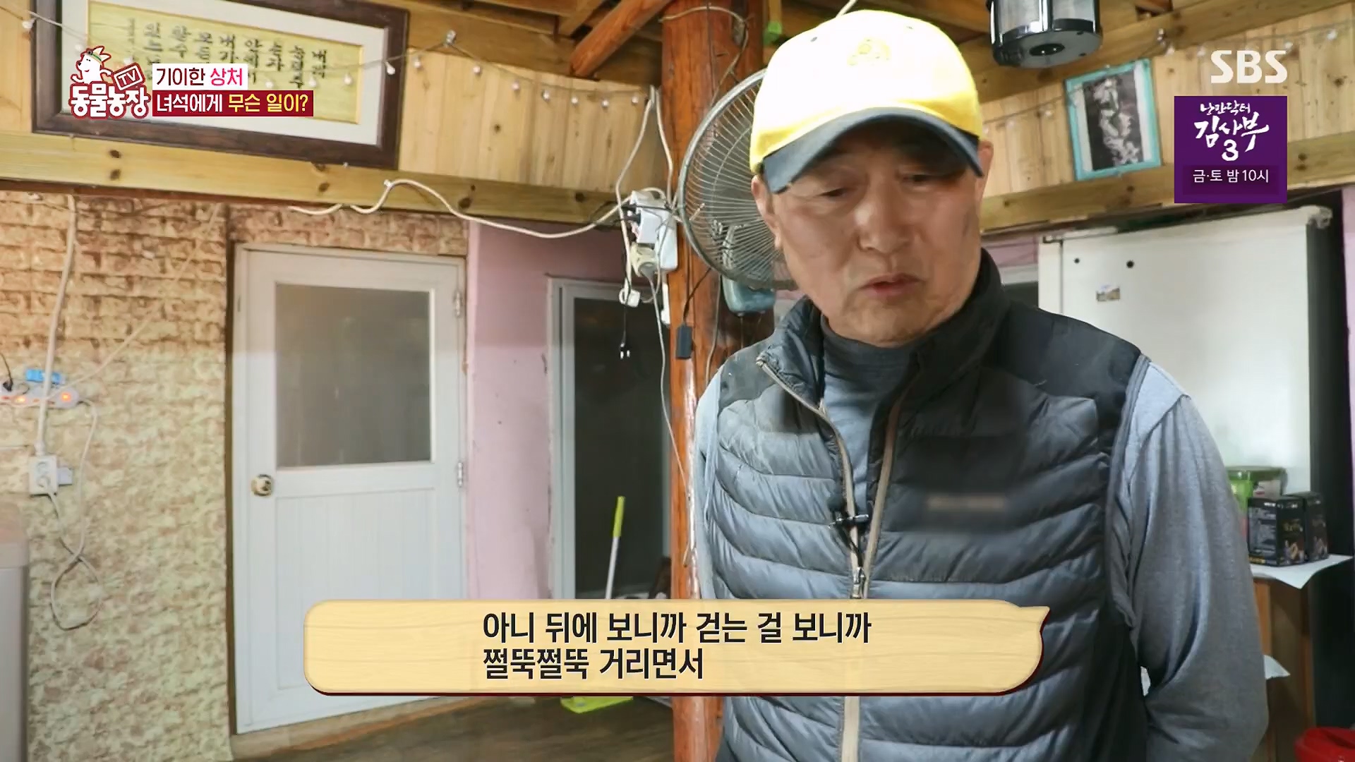TV 동물농장.E1118.230430p.H264-F1RST.mp4_20230430_172357.969.jpg