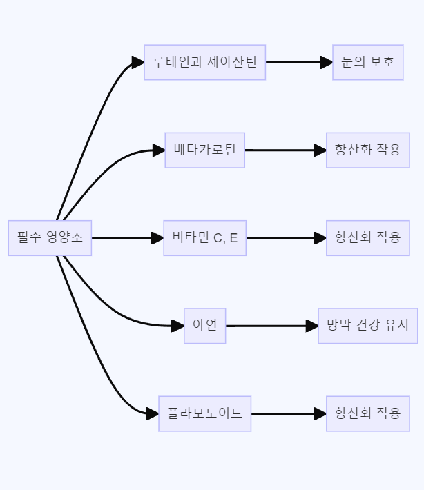 눈 건강 필수 영양소