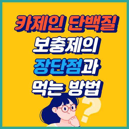 카제인단백질