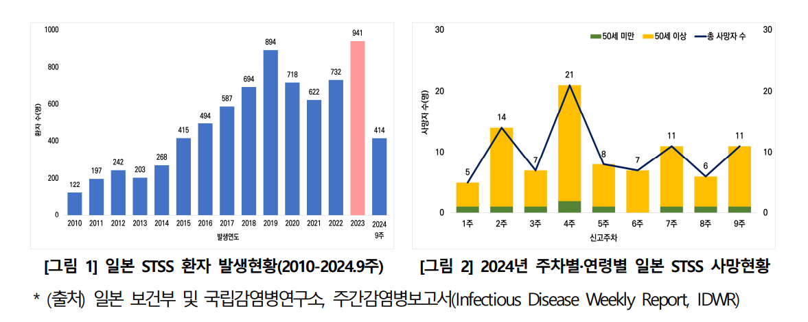 일본 STSS 발생 및 사망자 현황