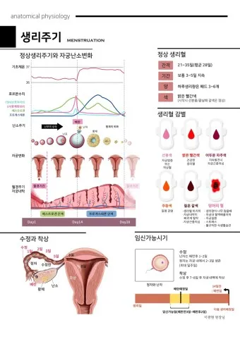 생리 늦어질때 원인 증상 관리법_13