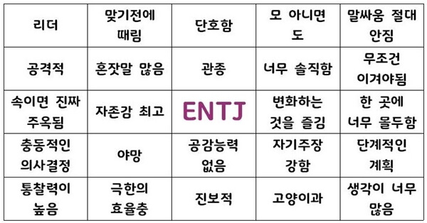 MBTI-ENTJ 성격유형 요약표