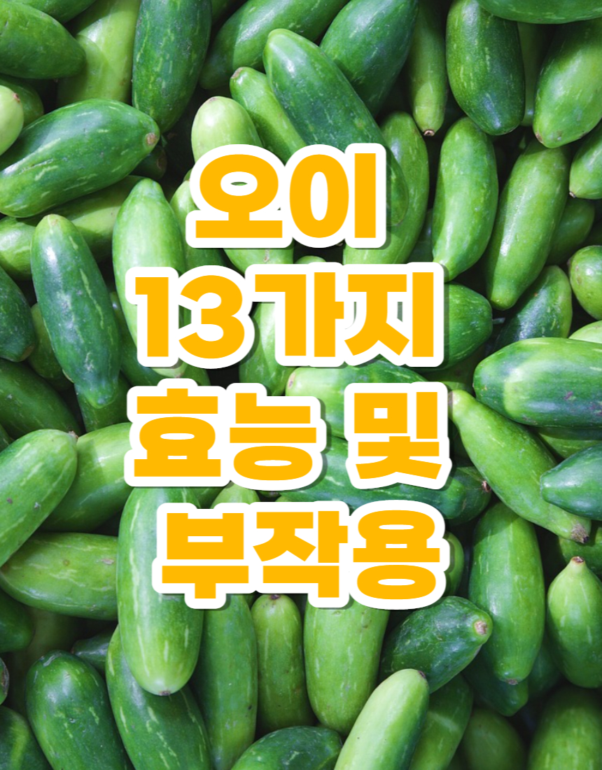 오이 효능 및 부작용