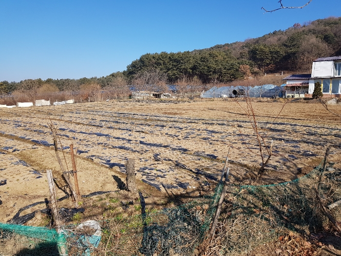 논산지원2021타경2666 기호(1)토지 전경 : 남서측에서 촬영