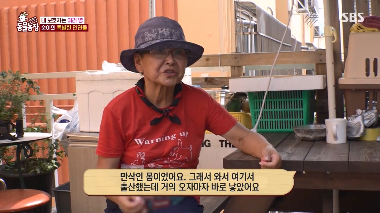 TV 동물농장.E1143.231030p-NEXT.mp4_20231029_162345.678.jpg