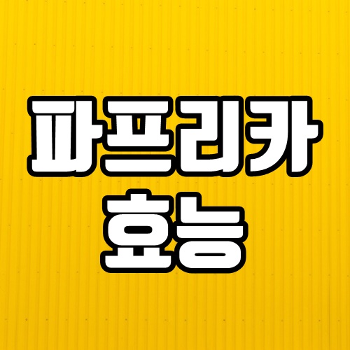  파프리카 효능 BEST 7