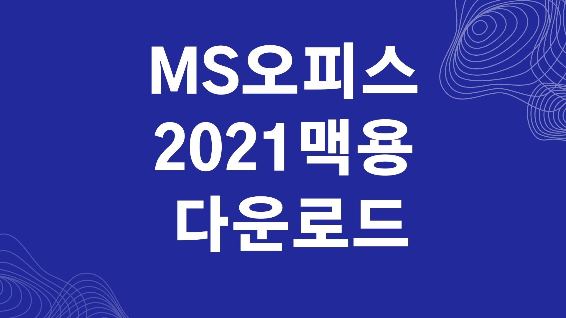 2021 오피스 MS 오피스