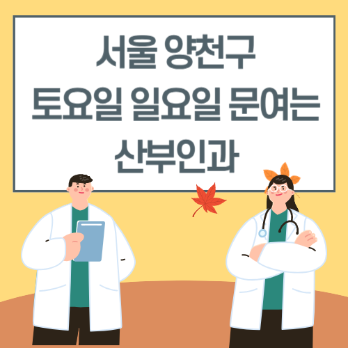 서울 양천구 토요일 일요일 산부인과 진료 병원 리스트