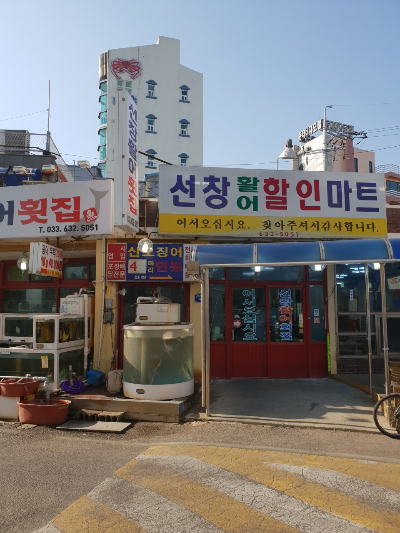 속초 회 맛집, 선창활어횟집